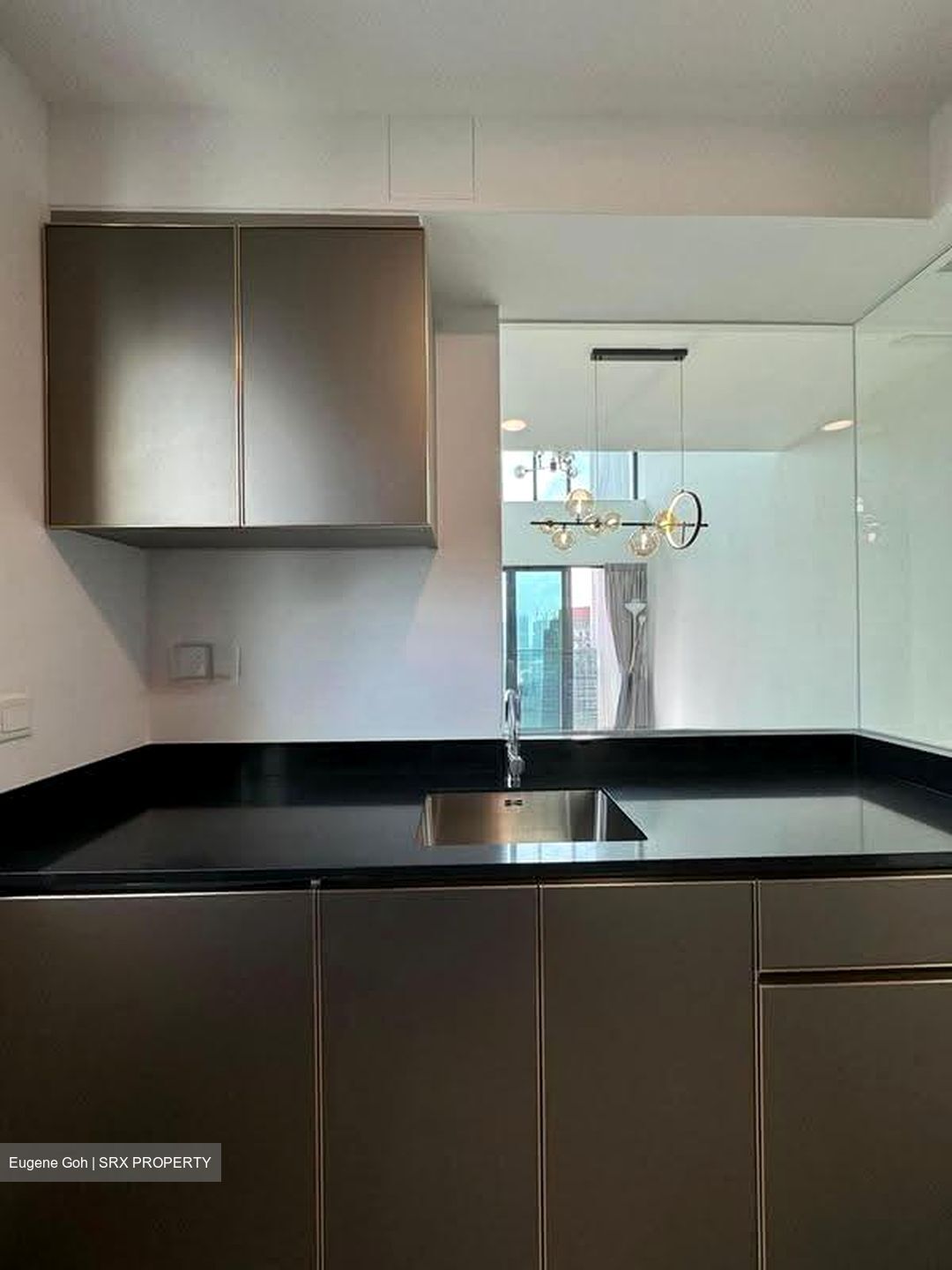 Normanton Park (D5), Apartment #608116041